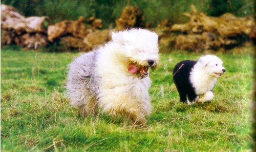 Best of mary people of the Arabian Nights