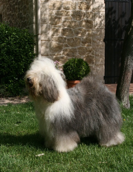 CH. Cleopatra of the Arabian Nights