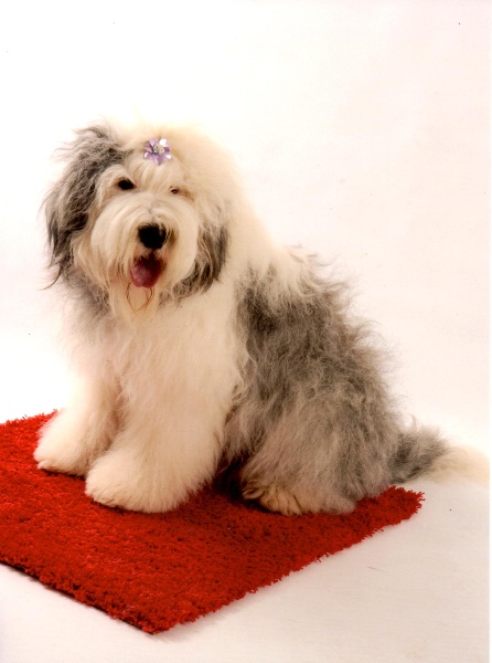 Give me love of the Arabian Nights