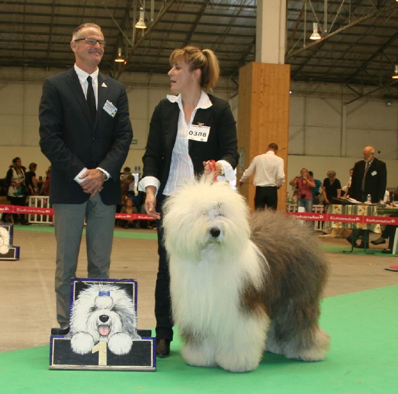 CH. Flamboyant of the Arabian Nights